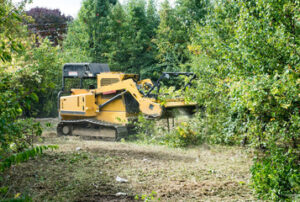 Forestry Mulching